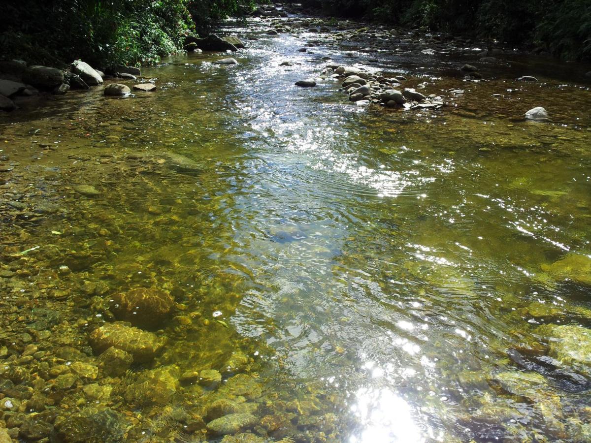 Pousada Rancho Texas Ubatuba Eksteriør bilde